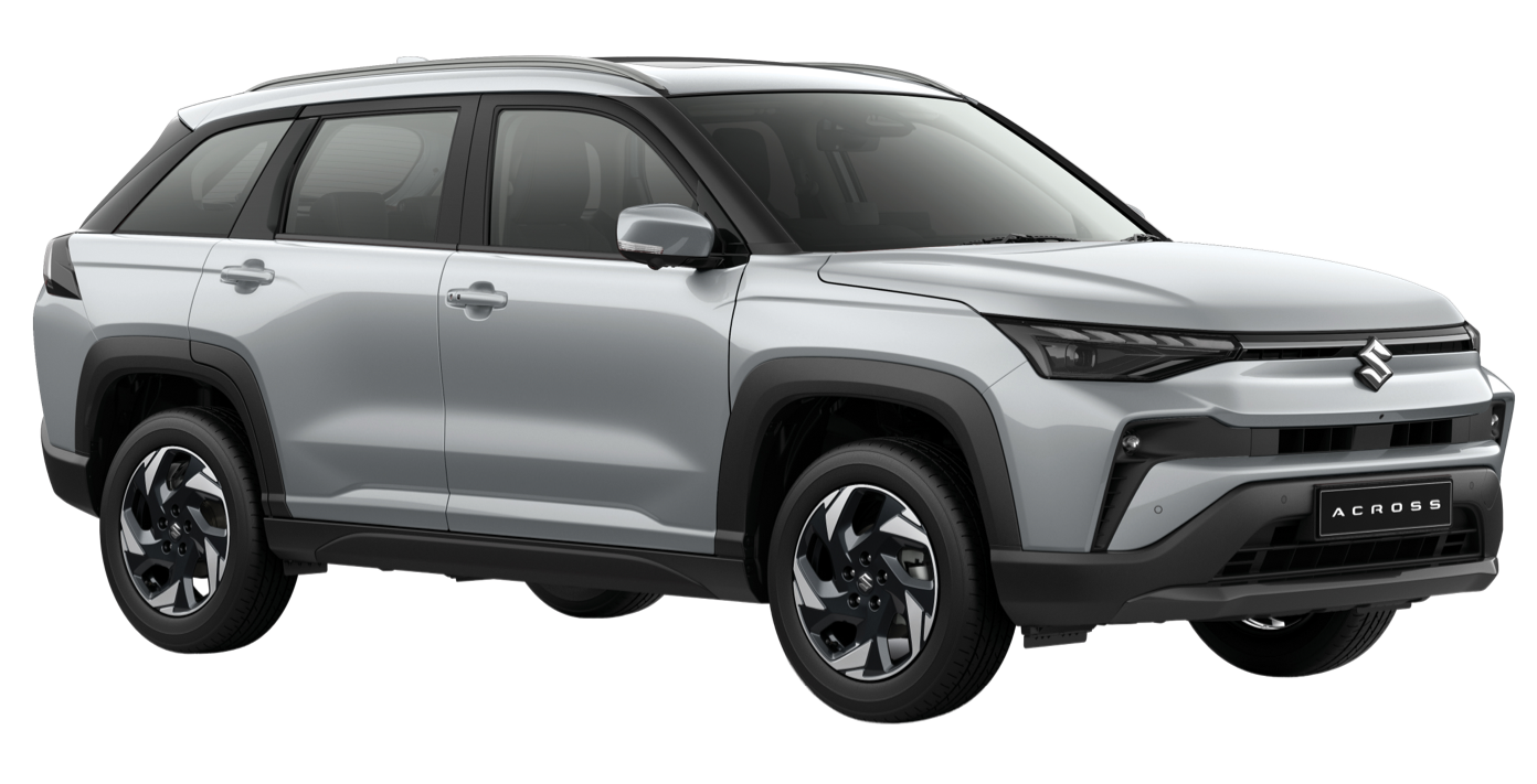 Splendid Silver Pearl